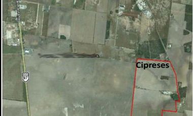 Terreno en Venta en Tamaulipas Carrertera  San Fernando