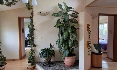 VENTA DE CASA EN SAN SALVADOR TIZATLALLI METEPEC