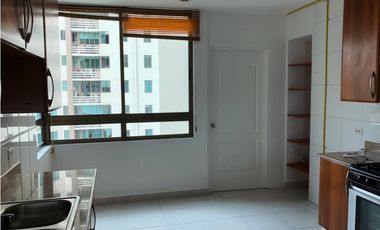 Alquilo PH Ocean Park Linea Blanca Punta Pacifica