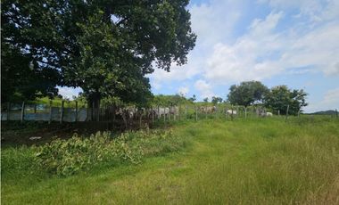 Se vende finca de 116 HAS para uso ganadero en Penonomé