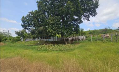 Se vende finca de 116 HAS para uso ganadero en Penonomé