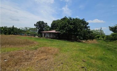 Se vende finca de 116 HAS para uso ganadero en Penonomé