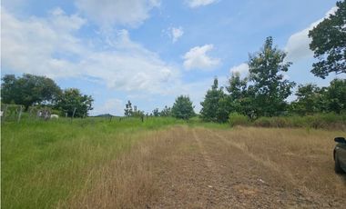 Se vende finca de 116 HAS para uso ganadero en Penonomé