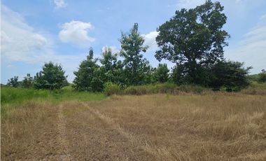 Se vende finca de 116 HAS para uso ganadero en Penonomé