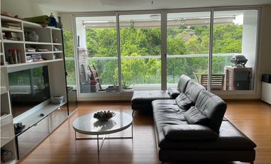 ALQUILO PH CLAYTON PARK II AMOBLADO