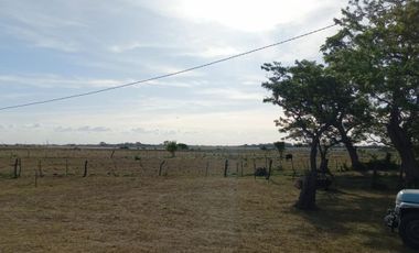 VENTA DE CAMPO EN LA PLATA