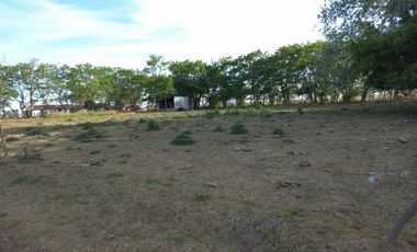 VENTA DE CAMPO EN LA PLATA
