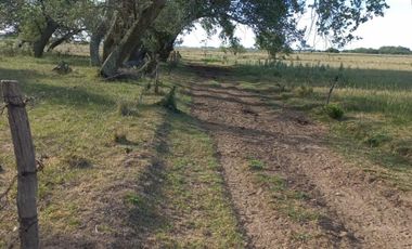 VENTA DE CAMPO EN LA PLATA