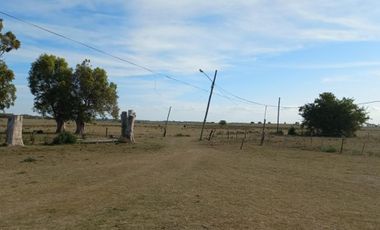 VENTA DE CAMPO EN LA PLATA