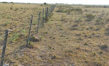 VENTA DE CAMPO EN LA PLATA