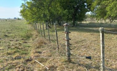 VENTA DE CAMPO EN LA PLATA
