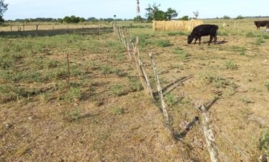 VENTA DE CAMPO EN LA PLATA