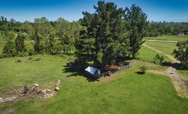 Agrícola en Venta en v-127