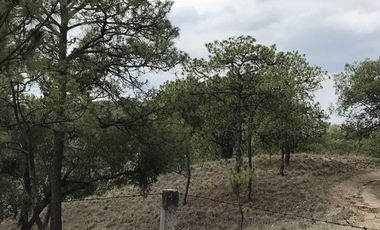 fraccionamiento campestre el roble