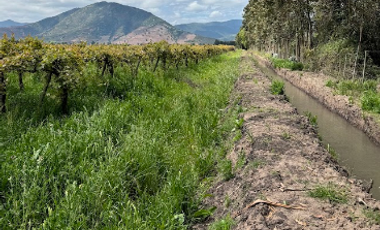 Agrícola en Venta en Arboleda El Huique