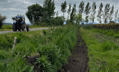 Agrícola en Venta en Arboleda El Huique