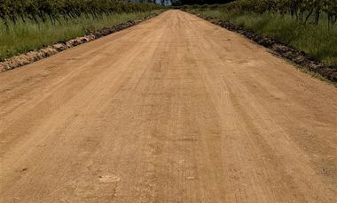 Agrícola en Venta en Arboleda El Huique