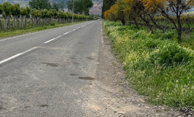 Agrícola en Venta en Arboleda El Huique