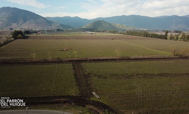 Agrícola en Venta en Arboleda El Huique