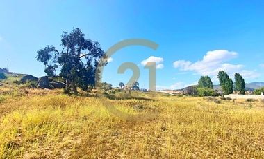 Se vende terreno de 9.000 mt2 en Peñuelas