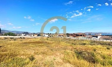 Se vende terreno de 9.000 mt2 en Peñuelas