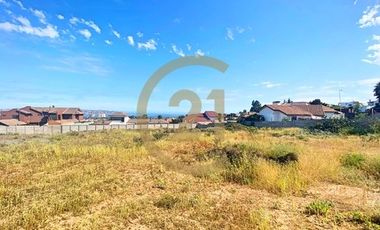 Se vende terreno de 9.000 mt2 en Peñuelas