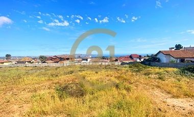 Se vende terreno de 9.000 mt2 en Peñuelas