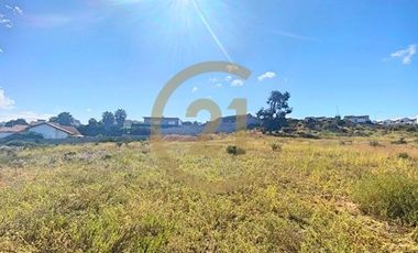 Se vende terreno de 9.000 mt2 en Peñuelas