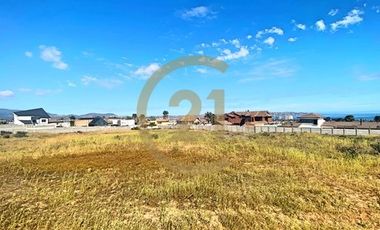 Se vende terreno de 9.000 mt2 en Peñuelas