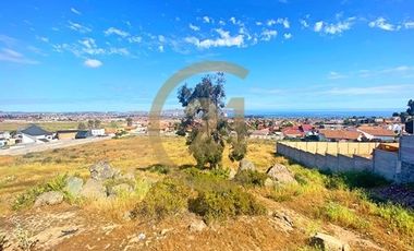 Se vende terreno de 9.000 mt2 en Peñuelas