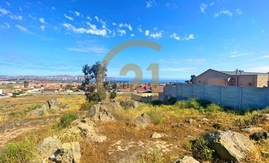 Se vende terreno de 9.000 mt2 en Peñuelas
