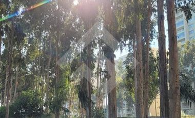 Departamento en Venta en Av. mirasol