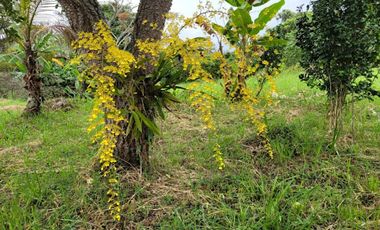 VENTA de CASAS en ANAPOIMA