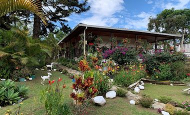 VENTA de FINCAS en CALIMA EL DARIEN
