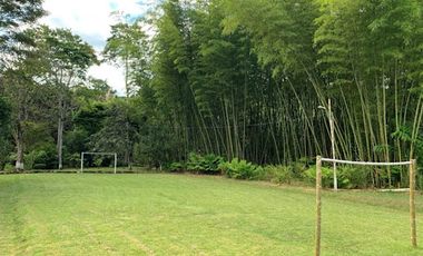 VENTA de FINCAS en CALIMA EL DARIEN
