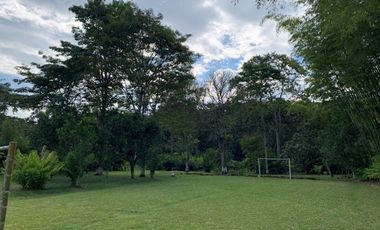 VENTA de FINCAS en CALIMA EL DARIEN