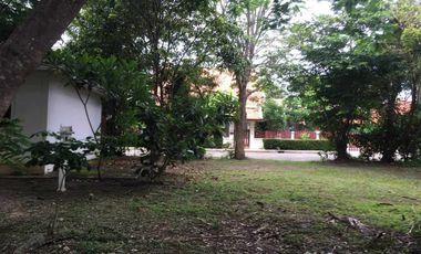 ขายที่ดินในโครงการ ซัมมิท กรีนวัลเล่ย์ ตำบลแม่ริมใต้