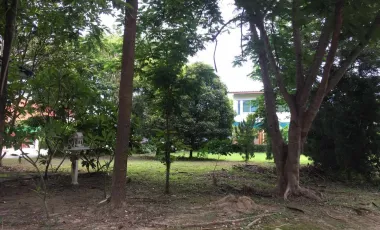 ขายที่ดินในโครงการ ซัมมิท กรีนวัลเล่ย์ ตำบลแม่ริมใต้