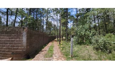 Terreno Quinta Andrea, Huasca de Ocampo, Hidalgo 2500 m2 bardeado