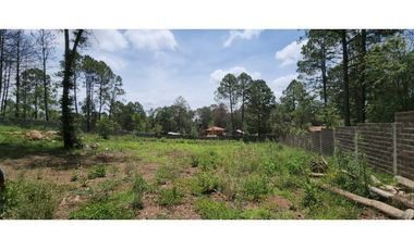 Terreno Quinta Andrea, Huasca de Ocampo, Hidalgo 2500 m2 bardeado