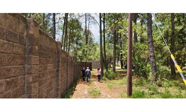 Terreno Quinta Andrea, Huasca de Ocampo, Hidalgo 2500 m2 bardeado