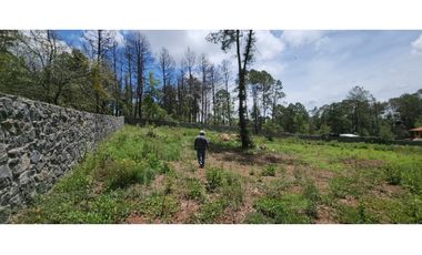 Terreno Quinta Andrea, Huasca de Ocampo, Hidalgo 2500 m2 bardeado