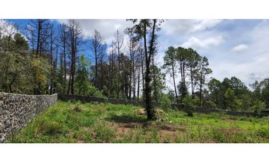 Terreno Quinta Andrea, Huasca de Ocampo, Hidalgo 2500 m2 bardeado