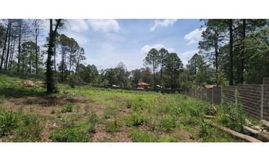 Terreno Quinta Andrea, Huasca de Ocampo, Hidalgo 2500 m2 bardeado