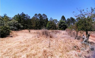 Terreno en San Jose Ocotillos Huasca de Ocampo Hgo. 2125 m2