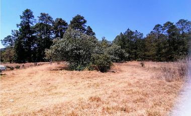 Terreno en San Jose Ocotillos Huasca de Ocampo Hgo. 2125 m2