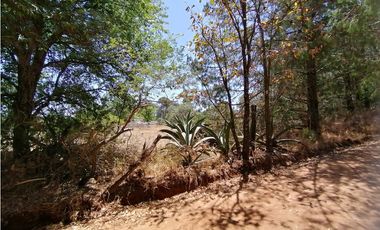 Terreno en San Jose Ocotillos Huasca de Ocampo Hgo. 2125 m2