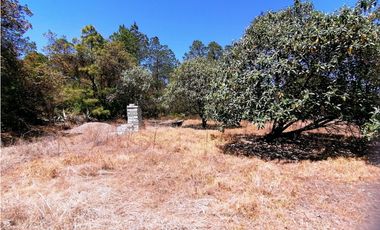 Terreno en San Jose Ocotillos Huasca de Ocampo Hgo. 2125 m2