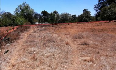 Terreno en San Jose Ocotillos Huasca de Ocampo Hgo. 2125 m2