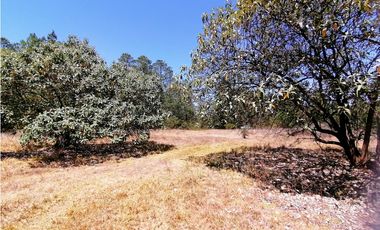 Terreno en San Jose Ocotillos Huasca de Ocampo Hgo. 2125 m2